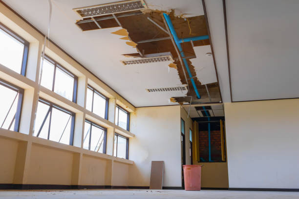 Best Professional water damage repair  in Tell City, IN