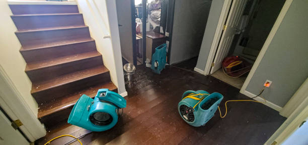 Best 24-hour water damage restoration  in Tell City, IN