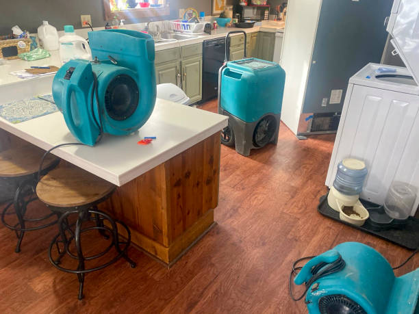 Best Water damage contractors near me  in Tell City, IN