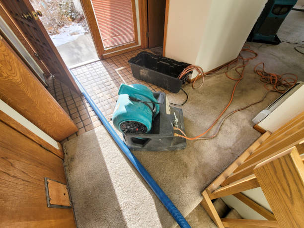 Best Commercial water damage restoration  in Tell City, IN