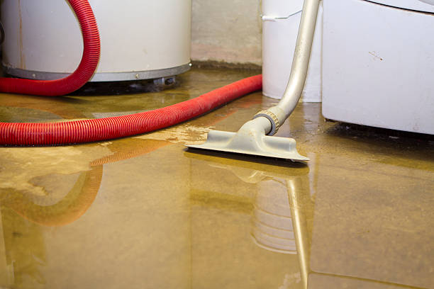 Best Sewage cleanup and water damage restoration  in Tell City, IN