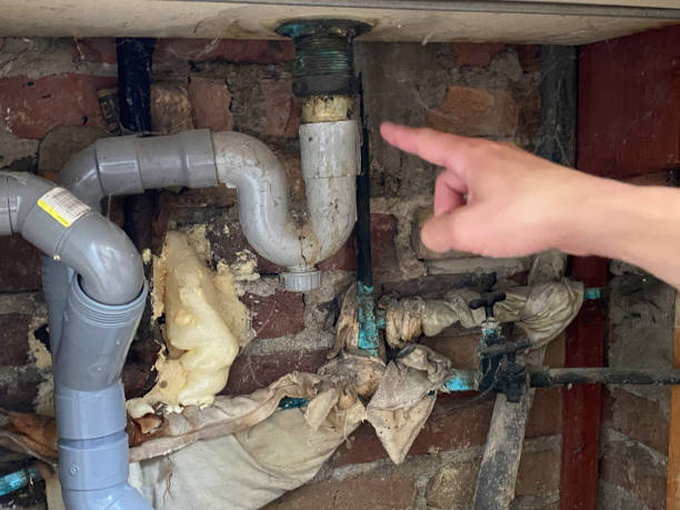 Best Mold removal after water damage  in Tell City, IN