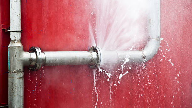 Best Local water damage restoration  in Tell City, IN
